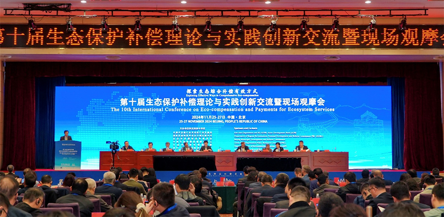 53ed3849d446.jpg