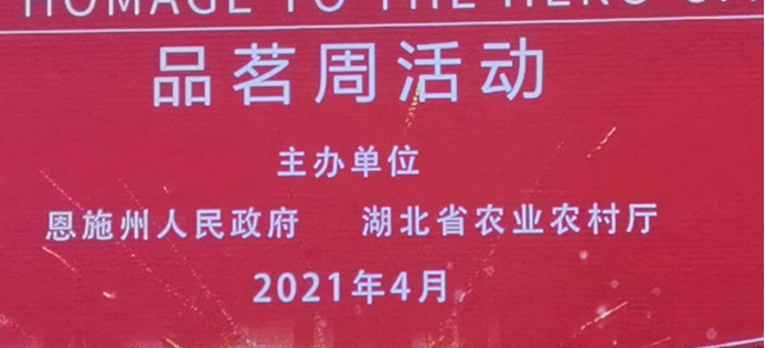 2.png 2.png